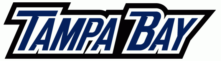 Tampa Bay Lightning 2007-2010 Wordmark Logo t shirts iron on transfers